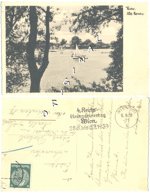 Fotokarte
                  WIEN Alte Donau, Boote, 1939 gelaufen - 10,00 Eur