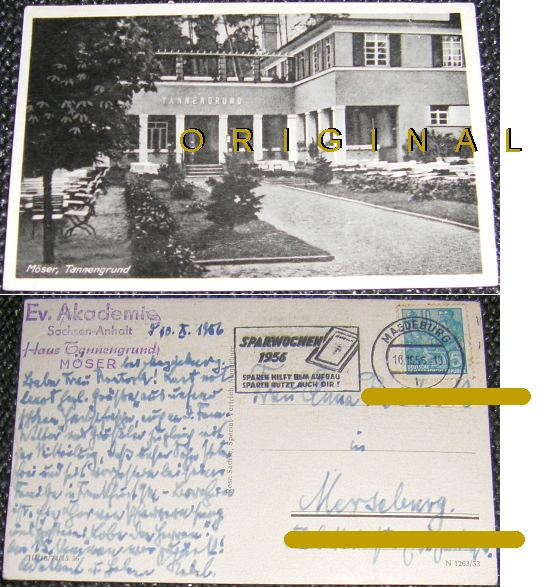 AK: MSER (Sachsen-Anhalt) Tannengrund; 1956 gelaufen - 5,00 Eur